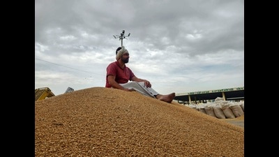 Punjab is facing a shortage of storage space this season. (Sanjeev Kumar/HT)