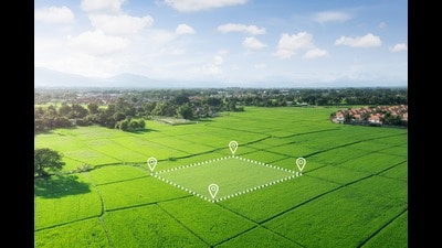 The department of housing and urban development has prepared a draft of the new policy, which is expected to be tabled at the upcoming cabinet meeting for approval. (Shutterstock)