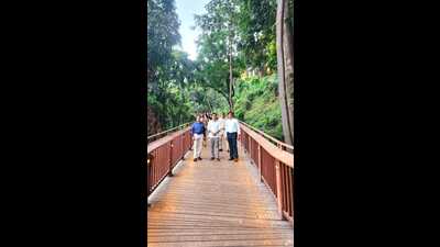 The walkways, like the one seen above during mayor’s visit to Mumbai last, are to allow residents to experience greenery from an elevated level while protecting vegetation on the ground. (HT Photo)