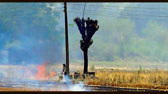 Farm fire incidents in Karnal district have surged by nearly 75%, jumping from 45 cases last year to 172 so far this season, officials said on Monday. This comes as wheat harvesting has concluded and farmers are preparing land for the next crop. (File photo)