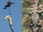 15-foot-long crocodile with body of businessman inside airlifted in South Africa. 15-foot-long crocodile with body of businessman inside airlifted in South Africa.