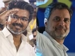 A combination of superstar Vijay and Rahul Gandhi could have won 190 seats in Tamil Nadu, said Chodankar. (HT) 