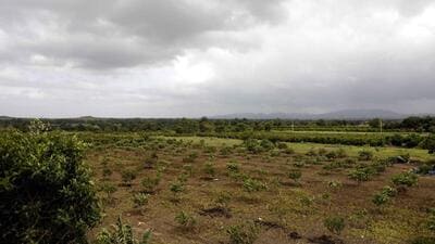 Pune district collector Jitendra Dudi on Tuesday appealed to landowners in Purandar to notify their consent for special land acquisition package announced by the state before the June 10 deadline. (HT FILE)