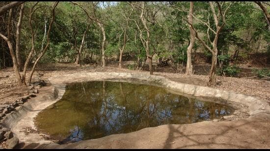 423 wild animals were spotted during the annual waterhole census conducted by Pune forest department across the district. ((PIC FOR REPRESENTATION))