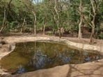 423 wild animals were spotted during the annual waterhole census conducted by Pune forest department across the district. ((PIC FOR REPRESENTATION)) 423 wild animals were spotted during the annual waterhole census conducted by Pune forest department across the district. ((PIC FOR REPRESENTATION))