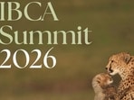 Global Big Cat Summit to adopt Delhi Declaration, strengthen transboundary cooperation and align conservation with biodiversity and climate goals (X)