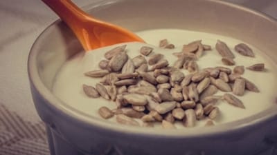 4 Ingredient Sunflower Seed Pudding (Freepik) 4 Ingredient Sunflower Seed Pudding (Freepik)