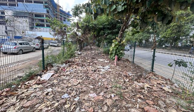 A unkept green space near Huda Market in Sector 47, as seen on Tuesday. (Parveen Kumar/HT)