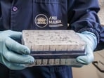 This handout picture released by Argentina's Health Ministry shows a scientist from the Malbran Institute handling containers used to diagnose the Andes hantavirus