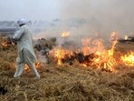 States were directed to submit revised and comprehensive action plans by May 11 (PTI)