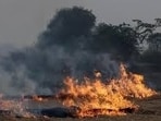 The analysis of district-wise data indicates that the rise in active fire locations (AFLs) is being driven by districts in central and western Haryana.