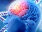 The brain begins to age at 40 onwards. Know what role diet plays in providing protective effects. 