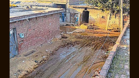 Earlier the dairy workers would flush cow dung into drains meant to take liquid waste to effluent treatment plants. (HT File)