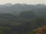 A view of the southern Ridge. (HT Archive) A view of the southern Ridge. (HT Archive)