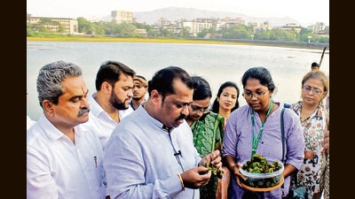 Navi Mumbai, India - May 8, 2026:PMC launches biological-control drive to restore historic Vadale lake at Panvel in Navi Mumbai, India, on Friday, May 8, 2026. (Photo by Bachchan Kumar/ Hindustan Times) (Hindustan Times) Navi Mumbai, India - May 8, 2026:PMC launches biological-control drive to restore historic Vadale lake at Panvel in Navi Mumbai, India, on Friday, May 8, 2026. (Photo by Bachchan Kumar/ Hindustan Times) (Hindustan Times)