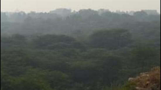 A view of the southern Ridge. (HT Archive)