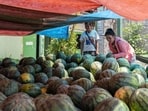 Investigators examine rat poison angle in watermelon deaths.