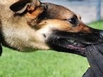 Representational image (Sourced)
