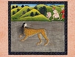 The 19th-century Mughal watercolour that inspired Tishani Doshi’s poem, Tiger Woman. (Wikimedia)