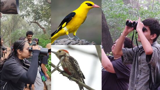 Birdwatching walks are emerging as a popular outdoor weekend activity among Delhiites. (Photos: Mohit Mehta, Kaushani Banerjee and Anjali Bhardwaj.)