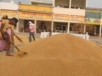 This is despite the state witnessing crop lodging due to untimely rainfall and strong winds when the crop was in maturing stage during March and April. (HT Photo)