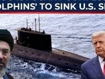 Iran’s most dangerous confession yet: 'Dolphins' submarines deployed in direct revenge operation Iran’s most dangerous confession yet: 'Dolphins' submarines deployed in direct revenge operation
