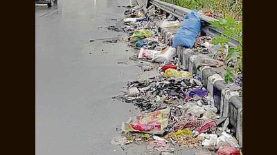 Garbage along the Sherpur-Basti Jodhewal stretch of the national highway in Ludhiana. (HT File)