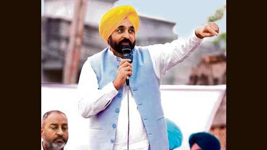 Punjab chief minister Bhagwant Mann addressing a gathering at Sahib Chand village in Muktsar district on Sunday. (X)