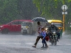 Delhi moves to remove dangerous trees after multiple rain-related deaths last year