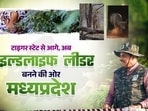 Two female cheetahs were brought from Botswana at Kuno National Park in Madhya Pradesh ahead of their release into the forest landscape during Chief Minister Mohan Yadav’s visit. Two female cheetahs were brought from Botswana at Kuno National Park in Madhya Pradesh ahead of their release into the forest landscape during Chief Minister Mohan Yadav’s visit.