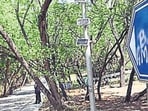 t was conducted across 59 plots (10m × 5m each) covering a 5.5km stretch along four roads inside the JNU campus — the Main Gate, East Gate/Vice-Chancellor Gate, Stadium Road and Ring Road. (HT Archive)
