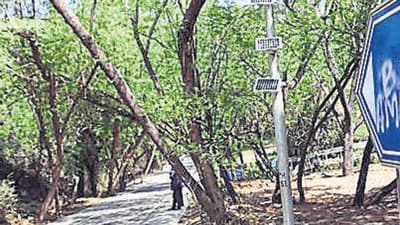t was conducted across 59 plots (10m × 5m each) covering a 5.5km stretch along four roads inside the JNU campus — the Main Gate, East Gate/Vice-Chancellor Gate, Stadium Road and Ring Road. (HT Archive) t was conducted across 59 plots (10m × 5m each) covering a 5.5km stretch along four roads inside the JNU campus — the Main Gate, East Gate/Vice-Chancellor Gate, Stadium Road and Ring Road. (HT Archive)