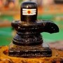 గురు ప్రదోష వ్రతం