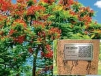 University authorities said the initiative is aimed at transforming the campus into an interactive outdoor learning space where technology complements nature. (HT Photo) University authorities said the initiative is aimed at transforming the campus into an interactive outdoor learning space where technology complements nature. (HT Photo)