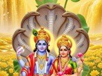 Apara Ekadashi: రేపే అపర ఏకాదశి.. ఈ ఒక్క రోజు ఉపవాసం ఉంటే కోటి పుణ్యఫలాలు మీ సొంతం!(pinterest)