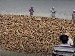 ఆక్వా రైతులకు ఊరట - రొయ్యల ఫీడ్ ధరల పెంపు నిలిపివేత