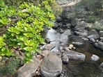 biodiversity (Pic: Sanya Panwar)