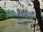 Navi Mumbai, India - March 22, 2026:Flamingo wetlands at DPS Lak NRI Navi Mumbai show sharp pollution spike in Navi Mumbai, India, on Sunday, March 22, 2026. (Photo by Bachchan Kumar/ HT PHOTO) (HT PHOTO)