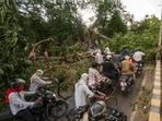 Commuters make their way through an uprooted tree lying on a road after a dust storm, in Prayagraj, Uttar Pradesh