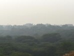 The conservation roadmap was discussed during a key meeting held on Friday, May 8, at the Satara forest office. (FILE)