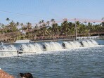 ఆక్వా రైతులకు ఊరట