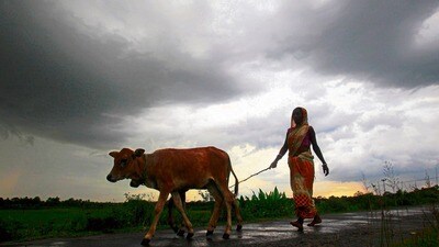 నైరుతి రుతపవనాలపై ఐఎండీ అప్డేట్..