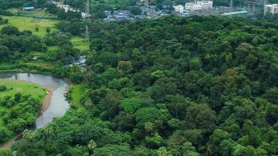 Mumbai, India. June 05, 2025: Top view of Sanjay Gandhi National Parl and Borivali area of Mumbai Suburban. Mumbai, India. June 05, 2025. (Photo by Raju Shinde/HT Photo) (Hindustan Times) Mumbai, India. June 05, 2025: Top view of Sanjay Gandhi National Parl and Borivali area of Mumbai Suburban. Mumbai, India. June 05, 2025. (Photo by Raju Shinde/HT Photo) (Hindustan Times)