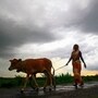 నైరుతి రుతపవనాలపై ఐఎండీ అప్డేట్..