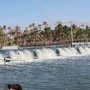 ఆక్వా రైతులకు ఊరట