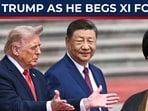 On cam: Iran's 'animal' jibe at Trump as he begs Xi for help against Tehran On cam: Iran's 'animal' jibe at Trump as he begs Xi for help against Tehran