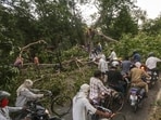 Commuters make their way through an uprooted tree lying on a road after a dust storm, in Prayagraj on Wednesday. (PTI PHOTO)