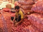 Even as onion farmers in Nashik grapple with low wholesale prices, many are facing another setback of fungal disease affecting ready-to-harvest crops. ((PIC FOR REPRESENTATION))