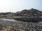 The rules mandate four-stream segregation at source into wet, dry, sanitary and special-care waste, and prescribe a clear definition of bulk waste generators (BWGs).(Sakib Ali/HT Photo)