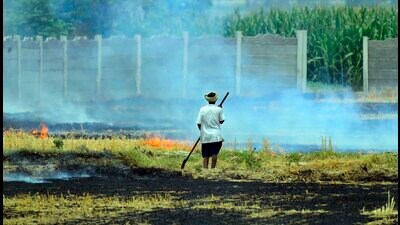 Environmental compensation amounting to  ₹4.35 lakh has been imposed in 82 cases so far. (Gurpreet Singh/HT)